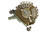 5-Way 2-pole Super Switch - Oak Grigsby