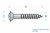 #3 X 3/4" (20mm) Phillips Oval Head Wood Screw - Qty 12