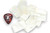 Figured Mother of Pearl Random Blanks - 8 pcs - 1 ounce