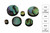 Fingerboard Dot Position Markers - Paua Abalone  (12 pcs)