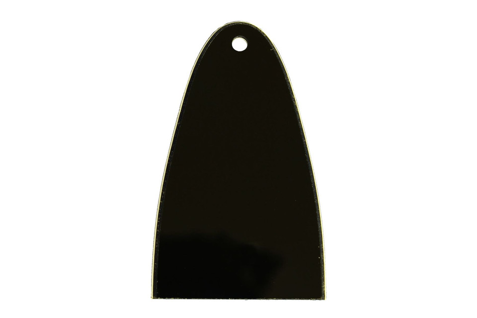 Blank Truss Rod Cover for Indonesia PRS SE guitars Philadelphia