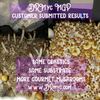 MGP Pure - Maximum Gourmet/Medicinal Mushroom Growth Promotion