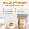 USDA organic rye berries packaged for mycology applications
