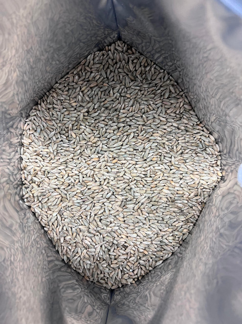 Resealable bag of organic rye berries for mushroom growers