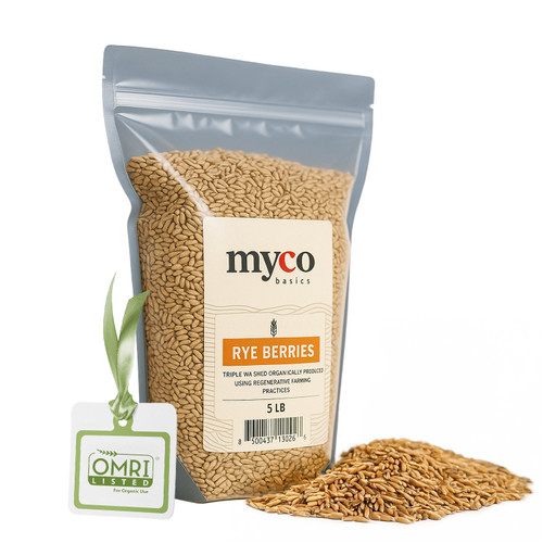 Triple-washed fungicide-free rye grain for mushroom growing