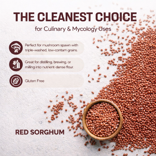 USDA Organic Sorghum