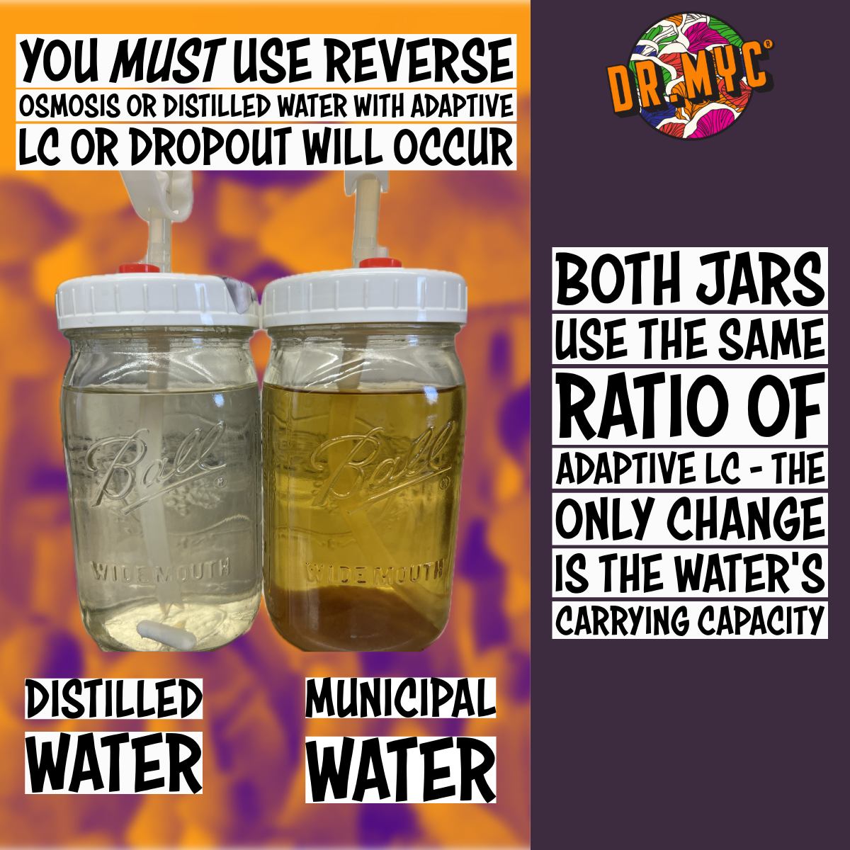 drmyc-adaptive-liquid-culture-water-type-municipal-ro-distilled-infographic.png