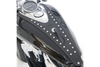 Mustang  Tank Bib for Sabre/Stateline/Interstate 1300 -Studded