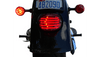 ProBEAM Integrated Low Profile LED Taillights with Auxiliary Turn Signals for '99-23 Harley Davidson Models