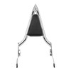 Hogworkz Detachable Havoc Sissy Bar Backrest for '09-25 Harley Davidson Touring - 16" (Select Finish)