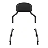 Hogworkz Lo-Pro Mini Sissy Bar Backrest for '18-26 Harley Davidson Softail Models (Select Finish and Pad) 
