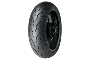 Dunlop D207ZR 180/55ZR18 Rear Tire -Each