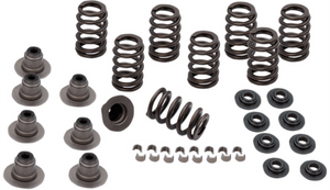S&S Cycle Valve Spring Kit for Harley Davidson M8