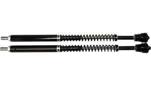 Custom Cycle Engineering Cartridge Kit for '17-25 Harley Davidson Touring Models - 49 mm