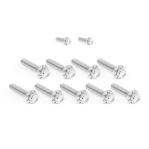 Arlen Ness Cam Cover/Point Cover Titanium 12-Point Bolt Kit for '17-25 Harley Davidson Touring and '17-24 Softail Models