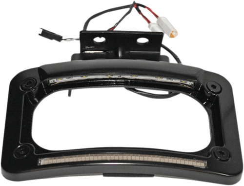 Custom Dynamics Dual LED License Plate Frames for Indian Touring 14-Up Black or Chrome