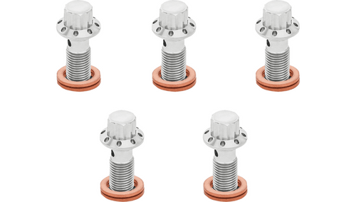 Arlen Ness Titanium 12-Point Banjo Bolts 5-Pack - M10x1.0 for '08-25 Harley Davidson Touring and '18-25 Softail Heritage (Select Finish)