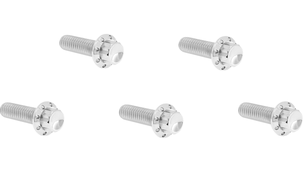 Arlen Ness 12 Point Titanium Derby Cover Bolts for '18-Up Harley Davidson Softail Models (Select Finish)