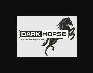 Darkhorse Crowned Pinion Races for Harley Davidson Big Twin (Standard or Oversized)