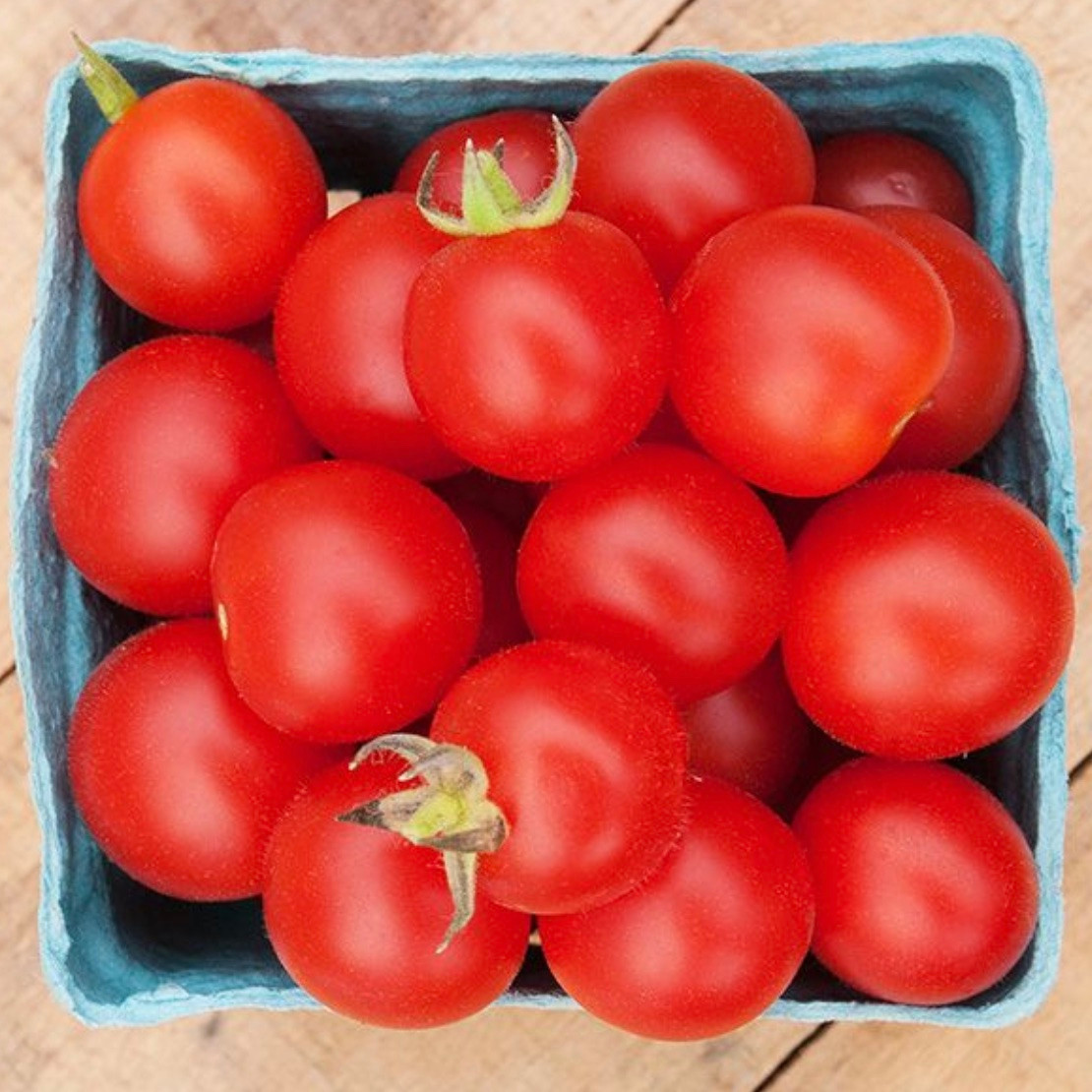 High Mowing Seeds Peacevine Cherry Tomato