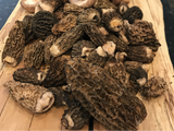 Morels and Ramps are Here!