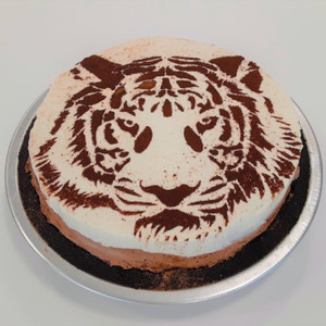 Tigerstripe Chocolate Cream Pie