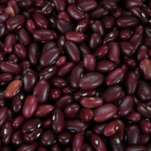 Bulk Dried Red Beans - 1lb