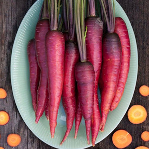 Dragon Carrot Seeds- 1/32 OZ