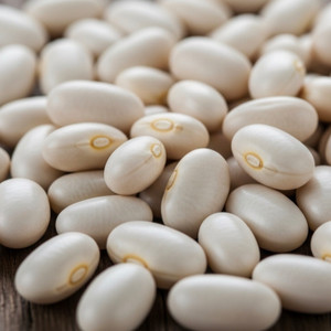 Bulk Navy Beans -25lb