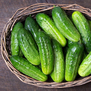 National Pickling Cucumber - 1/16oz
