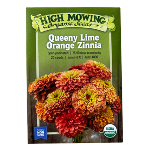 Queeny Lime Orange Zinnia - 20 SEEDS