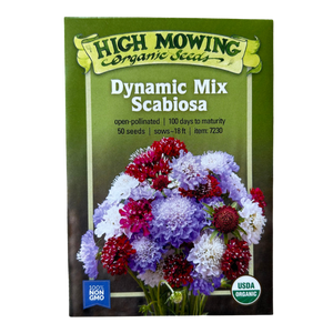 Dynamic Mix Scabiosa- 50 SEEDS
