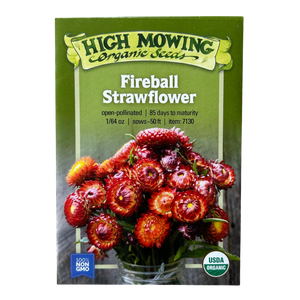 Fireball Strawflower Seeds - 1/64oz