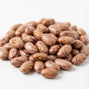 Bulk Dried Organic Pinto Beans - 1lb