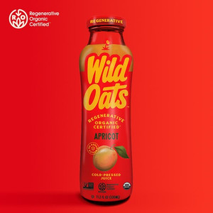 Apricot Juice - 11.2 oz