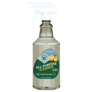 Citrus All-Purpose Cleaner - 32 fl oz