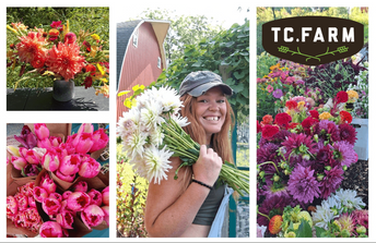 Flowers, CSAs & Events with Farmer Megan