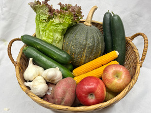 January 9-11 Delivery