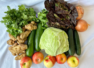 Feb. 20-22 Weekly Features Feb. 20-22 Weekly Features