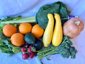 April 9-11 Weekly Features April 9-11 Weekly Features