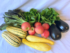 May 14-16 Weekly Features May 14-16 Weekly Features