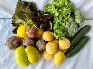 May 21-23 Weekly Features May 21-23 Weekly Features