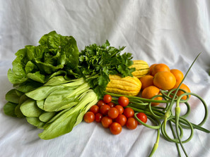 June 18-20 Weekly Features