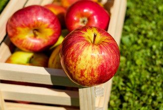 September 23-27 Weekly Features September 23-27 Weekly Features