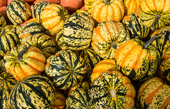 January 3 & 4 Weekly Features, Fri. & Sat. Deliveries January 3 & 4 Weekly Features, Fri. & Sat. Deliveries