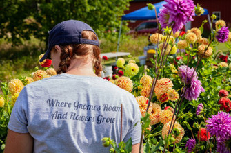 Fields Full of Flowers- Update from Farmer Megan Fields Full of Flowers- Update from Farmer Megan