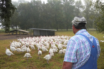 Turkey Farmers Nathan & Barb Turkey Farmers Nathan & Barb