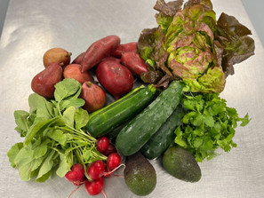 June 25-27 Weekly Features