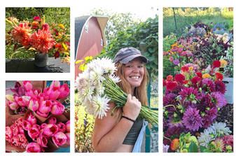 Summer Flower CSA & Strawberry Plant Starts Summer Flower CSA & Strawberry Plant Starts