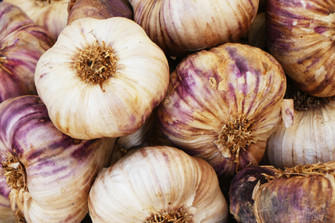 Local Garlic Back in Season Local Garlic Back in Season